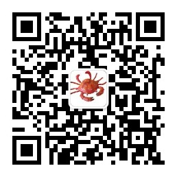 扫码关注非本科程序员