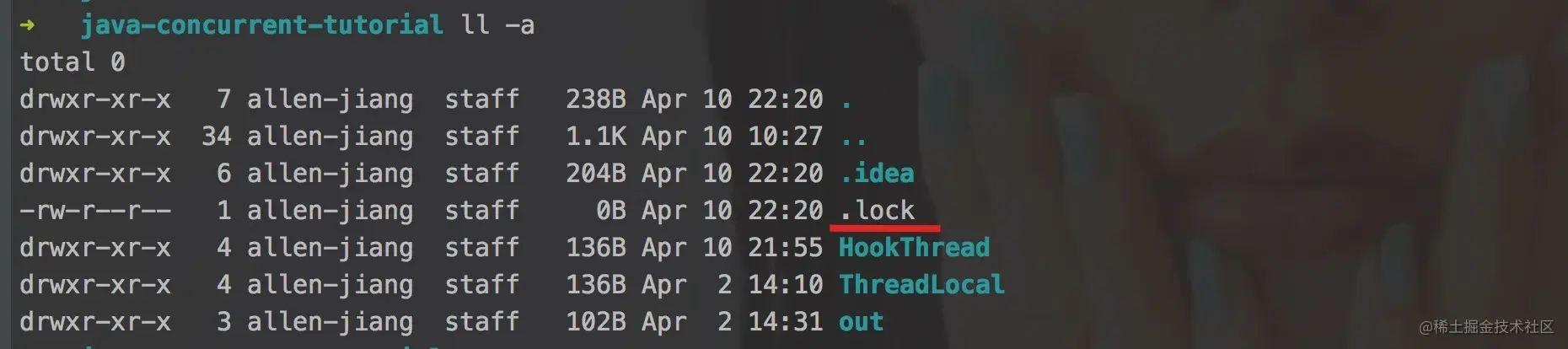 lock 文件