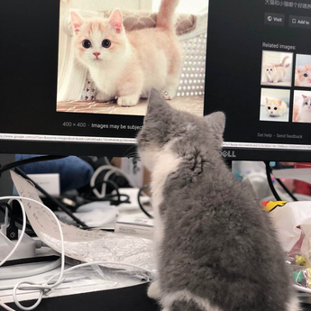 阴明于2019-04-11 16:11发布的图片
