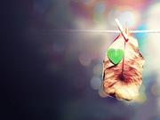 逗包的个人资料头像