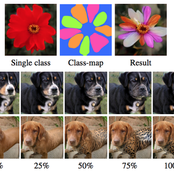 爱可可爱生活于2019-04-12 15:31发布的图片