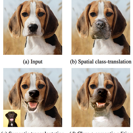 爱可可爱生活于2019-04-12 15:31发布的图片