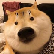苏打饼干的个人资料头像