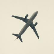 Doyen的个人资料头像