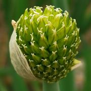 Hu帅君的个人资料头像