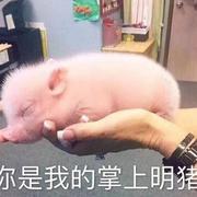 stephanietm的个人资料头像