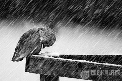 4年前端、2年CTO:一个非科班程序员的真实奋斗史_1 2.jpg 4年前端、2年CTO:一个非科班程序员的真实奋斗史_1 2.jpg