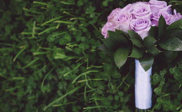 Java语言基础教程