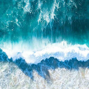 zhizu的个人资料头像