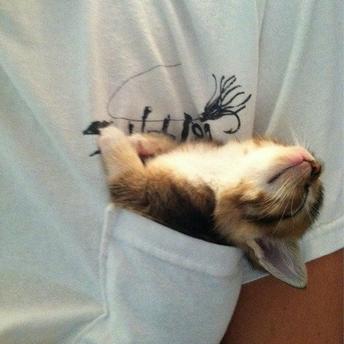 程序员鼓励喵于2019-04-16 09:27发布的图片