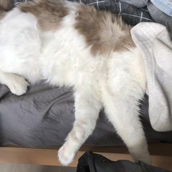 skylar同学65353于2019-04-17 16:39发布的图片