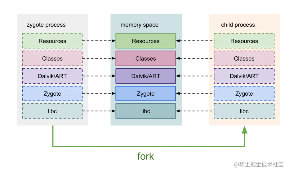 zygote 进程 fork 进程