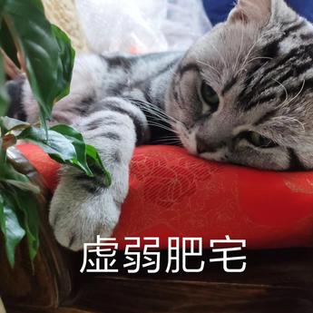 Nept于2019-04-18 19:56发布的图片