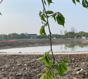 Danejiang73472的个人资料头像