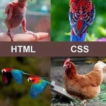 boom妒忌嘎于2019-04-19 08:27发布的图片