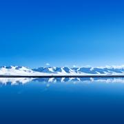 2019汉谟拉比的个人资料头像