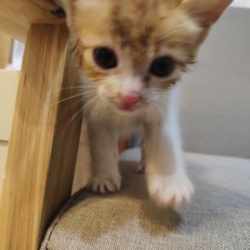 雷侠于2019-04-02 23:33发布的图片