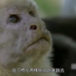 ositowang于2019-04-20 05:33发布的图片