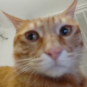 helloBmB的个人资料头像