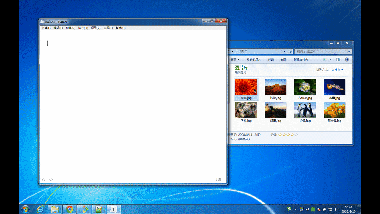 demo-win7.gif