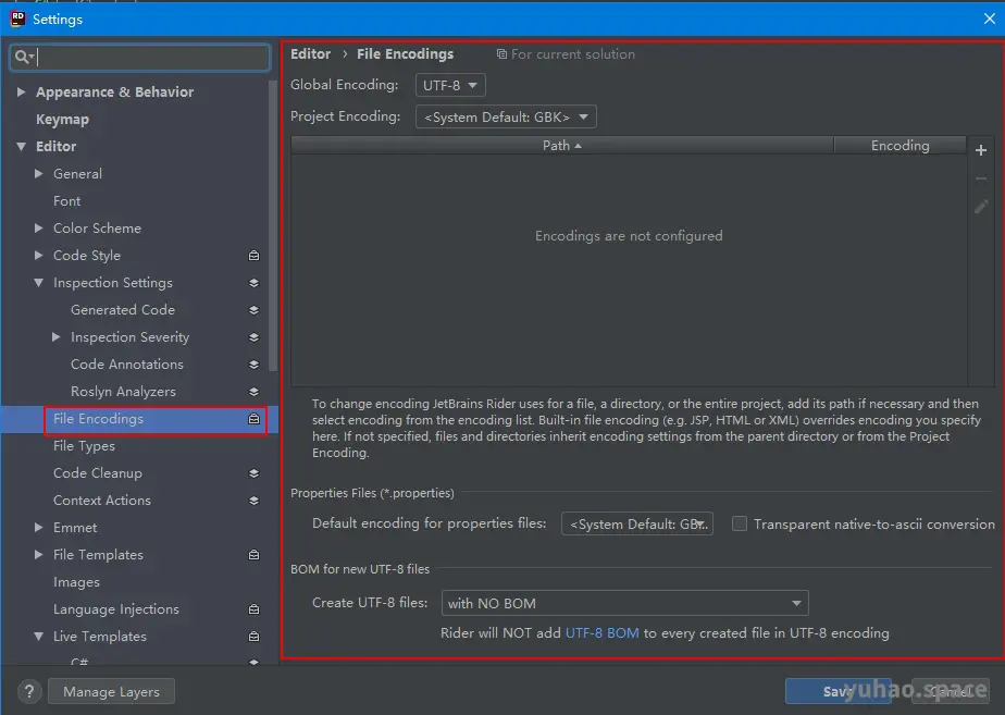 Rider encoding settings