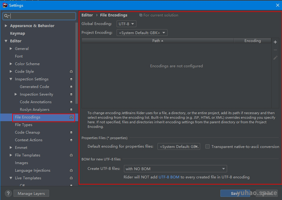 Rider encoding settings