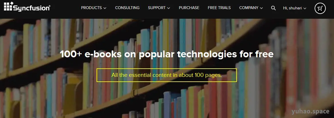 Syncfusion Succinctly