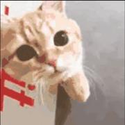 Lambert_liu的个人资料头像