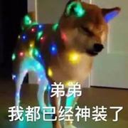 Ifree44035的个人资料头像