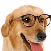 一定要绅士的个人资料头像