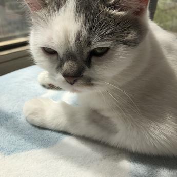 billie_chou于2019-04-22 14:34发布的图片