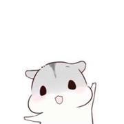 yiyixun的个人资料头像