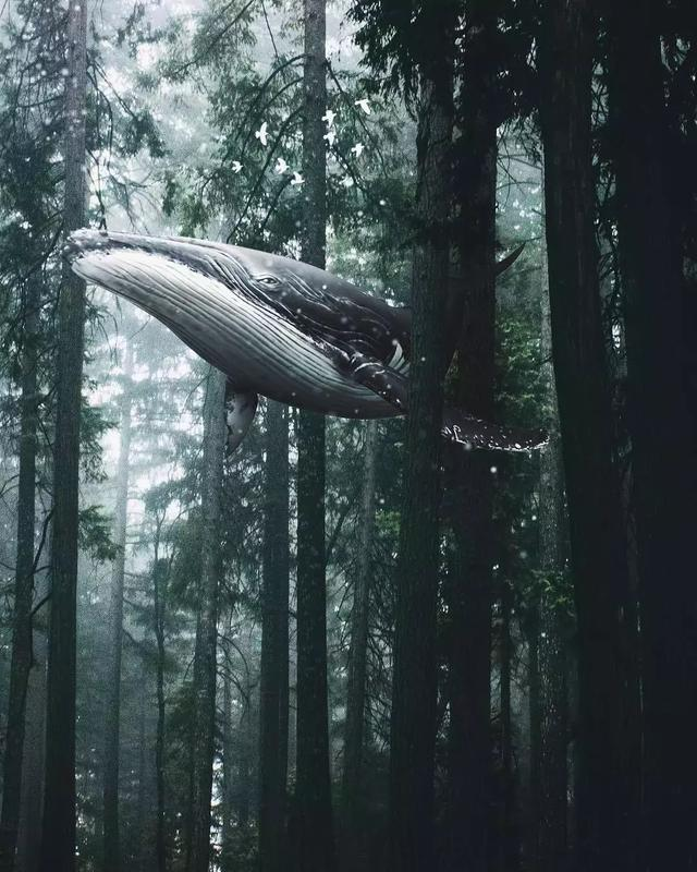 印度视觉设计师Rishab平面设计作品，简直太美了！