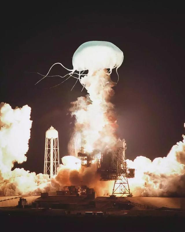 印度视觉设计师Rishab平面设计作品，简直太美了！