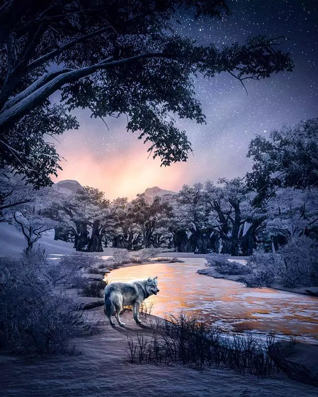 印度视觉设计师Rishab平面设计作品，简直太美了！