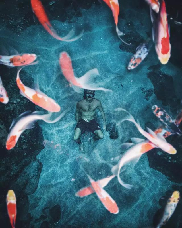 印度视觉设计师Rishab平面设计作品，简直太美了！