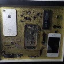 Easin于2019-04-24 00:02发布的图片