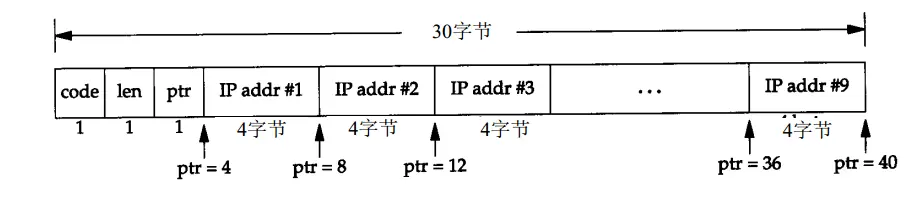 图6. IP记录路由选项