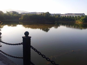 wurongH的个人资料头像