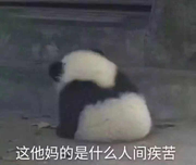 LZXNotAfraid的个人资料头像