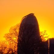 katakana的个人资料头像