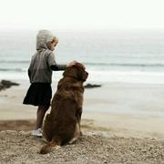 wjp的个人资料头像