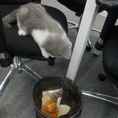 NeXT于2019-04-25 15:41发布的图片