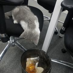 NeXT于2019-04-25 15:41发布的图片