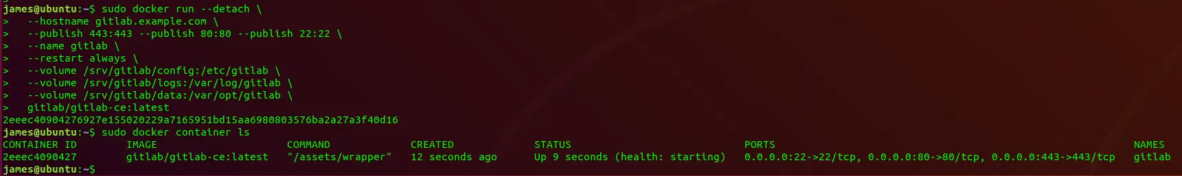 docker-run-gitlab.png