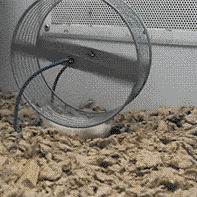 沙雕动图于2019-04-26 11:47发布的图片