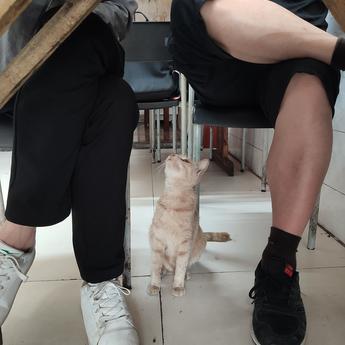 潜水车车于2019-04-26 15:46发布的图片