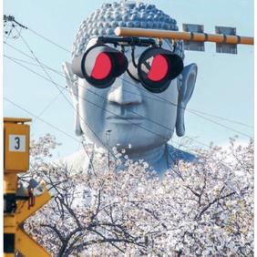 娱乐小编于2019-04-27 13:35发布的图片