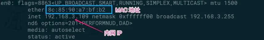 内网IP / MAC地址