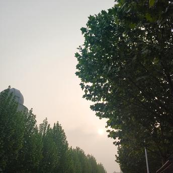 MrLonely酱于2019-04-28 07:22发布的图片